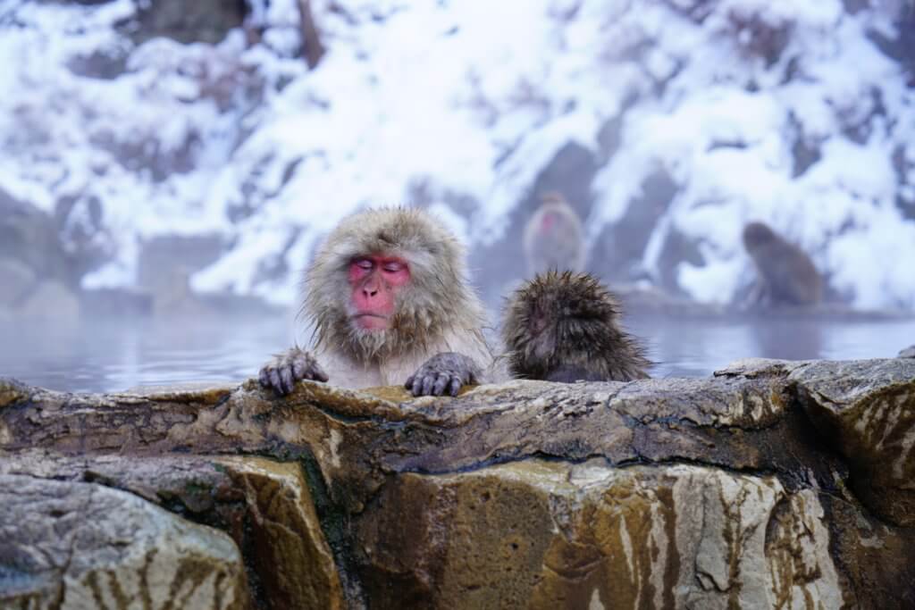 Japanese hot spring customs