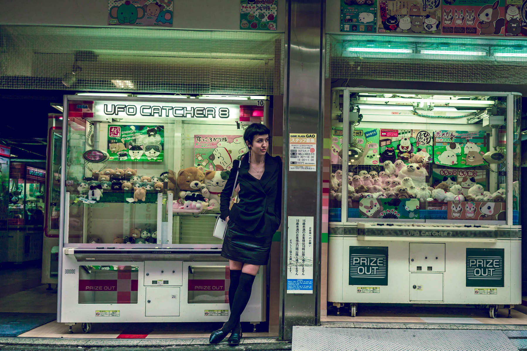 Japan society arcade foreign Guide to Japanese Culture