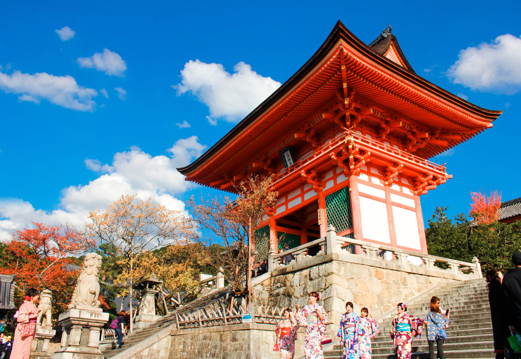 Study in Japan Japan Switch - Study in Japan