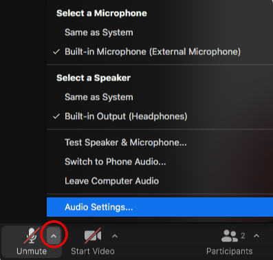 online-japanese-lessons-zoom-sounds-settings online lesson tools zoom setting