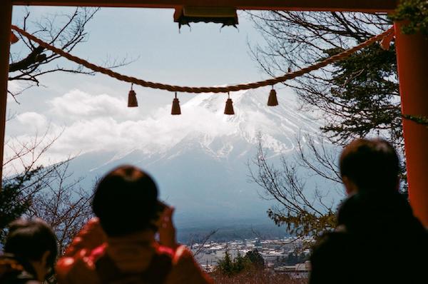 Explore Japanese verb conjugation