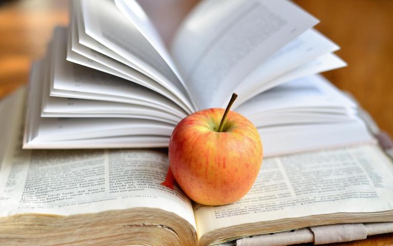 Vocabulary Japanese dictionary grammar
