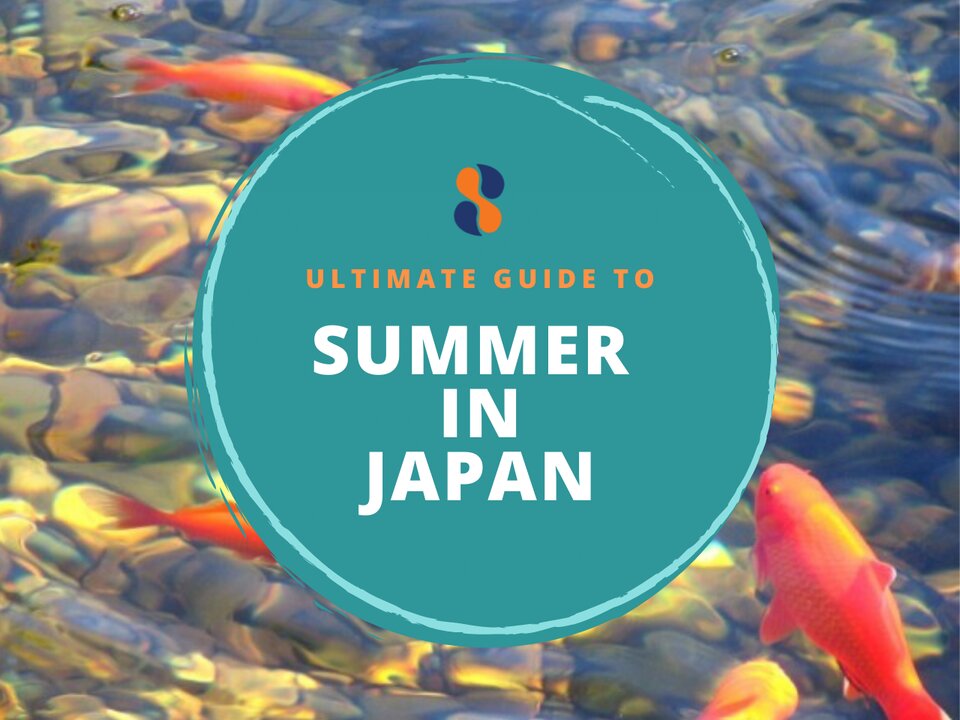 Goldfish in summer in japan