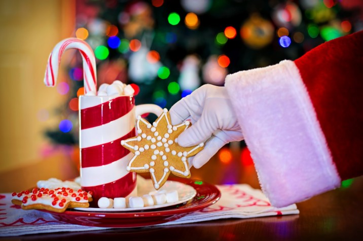 holiday christmas xmas winter santa