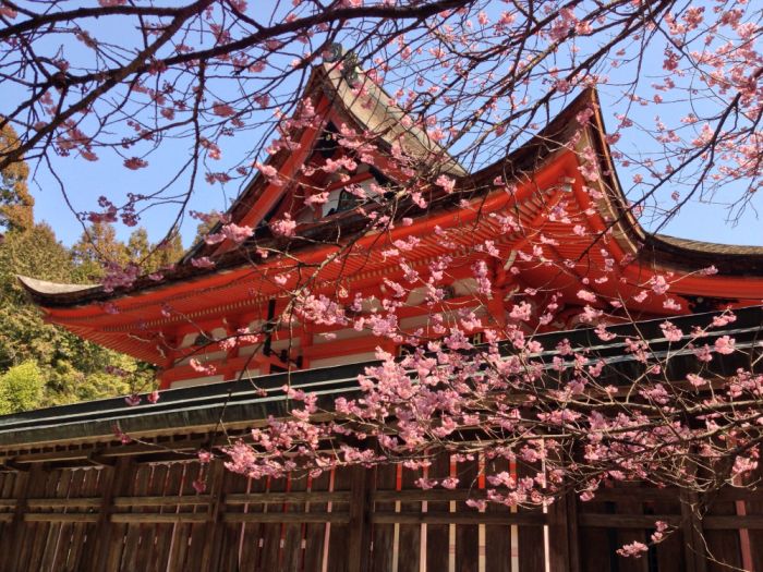 Japanese archery temple shrine spiritual religion
