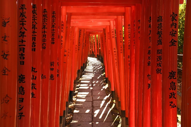 Shrines in Tokyo - Nezu Shrine - Vermillion torii tunnel Nezu Shrine Vermillion torii gates