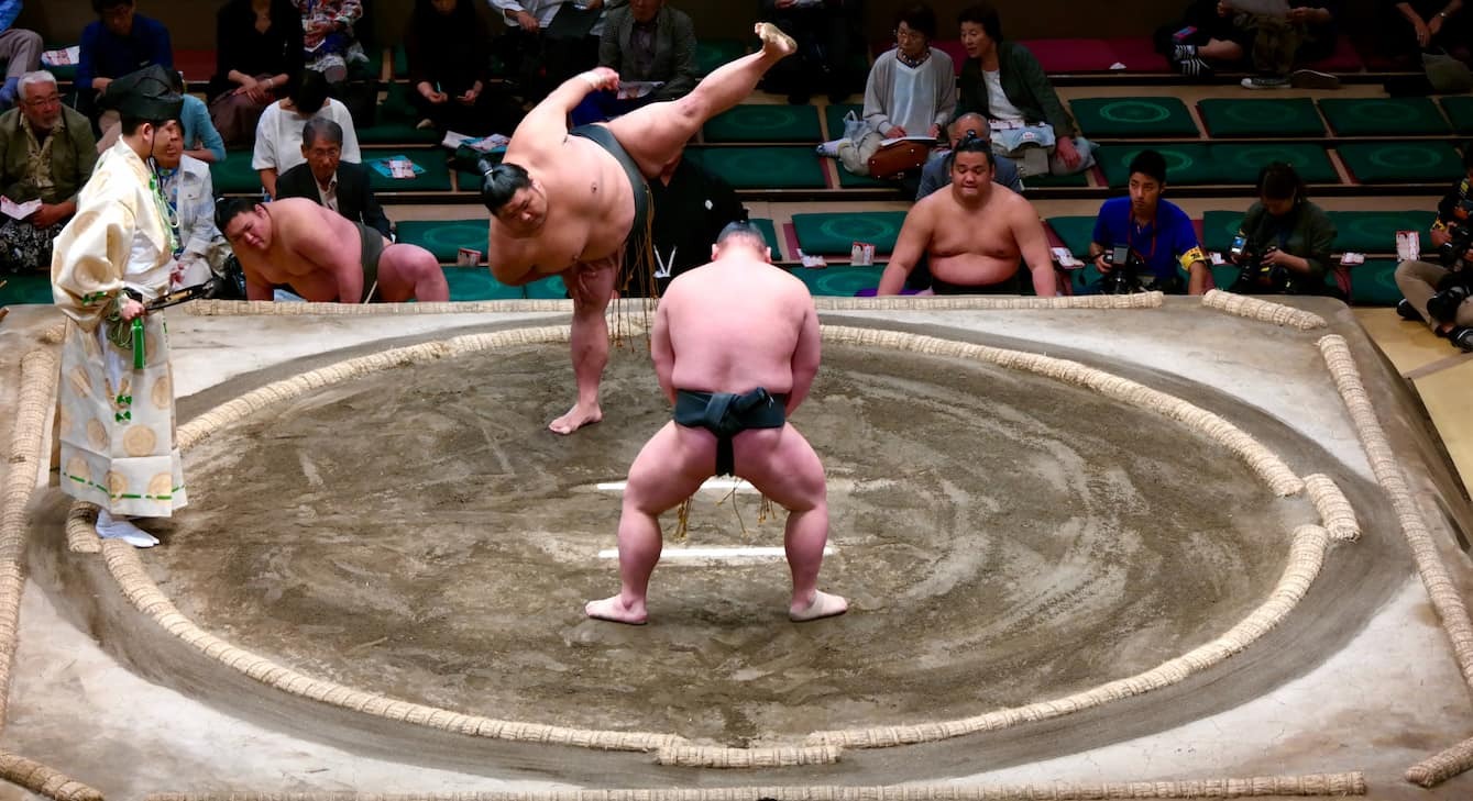 Sumo wrestling up close