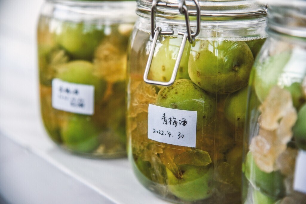 Umeshu history and making where umeshu comes from