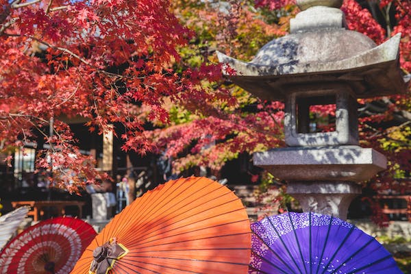 National Holidays 5 Admiring red leaves in national holidays in Japan