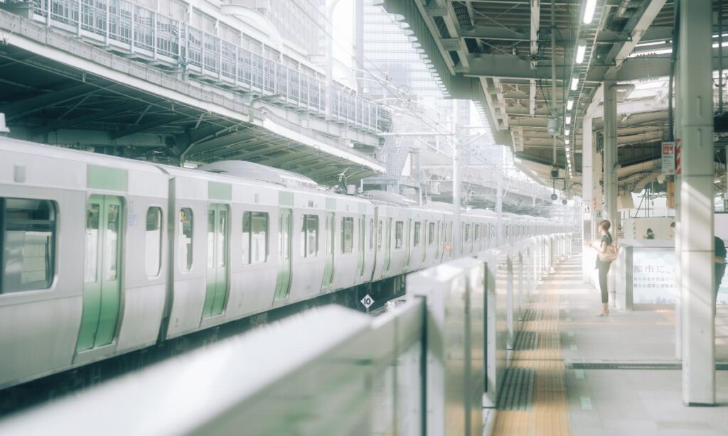Tokyo Trains 5 Image of silver and green train at a train station in Tokyo