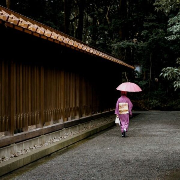 Shrines in Tokyo - Honden honden