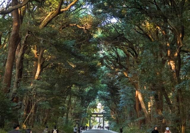 Shrines in Tokyo - Meiji Jingu Meiji Jingu Shrine in Tokyo