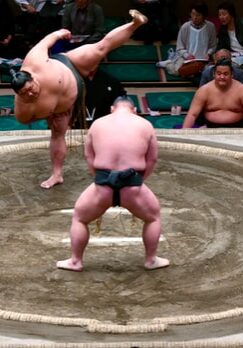 Shrines in Tokyo - Sumo Tournament Tomioka Hachimangu Sumo