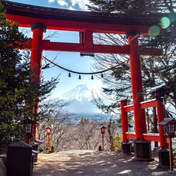Shrines in Tokyo - Torii gate torii gate