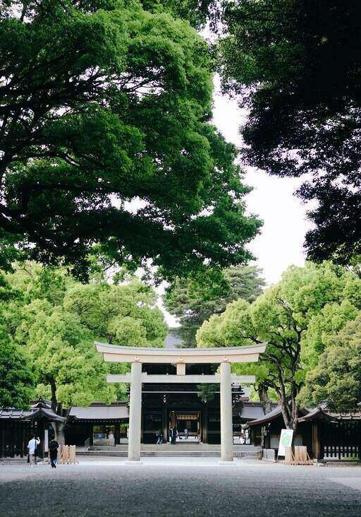 meiji jingu shrine in tokyo